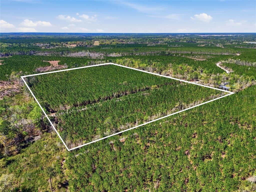 Tbd Southeast Pounds Hammock Road Lake City, FL 32025 - Photo 7 of 10