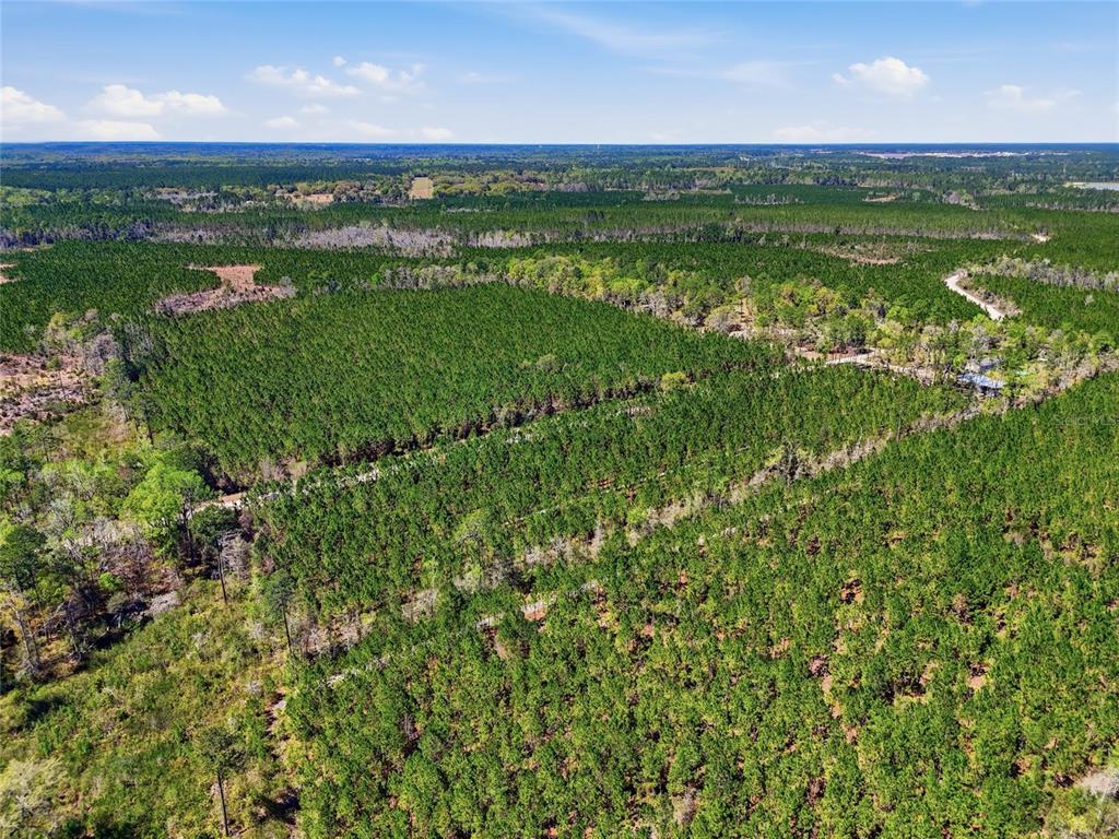 Tbd Southeast Pounds Hammock Road Lake City, FL 32025 - Photo 8 of 10
