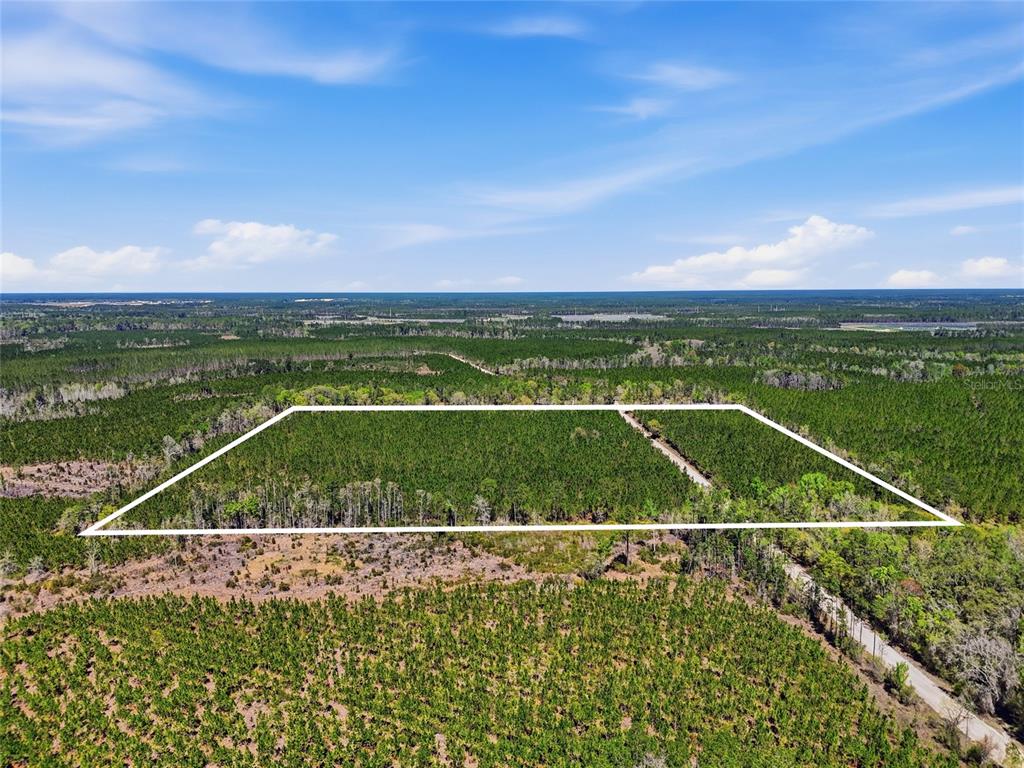 Tbd Southeast Pounds Hammock Road Lake City, FL 32025 - Photo 9 of 10