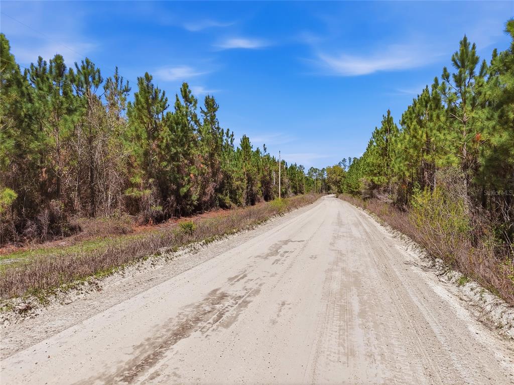 Tbd Southeast Pounds Hammock Road Lake City, FL 32025 - Photo 10 of 10