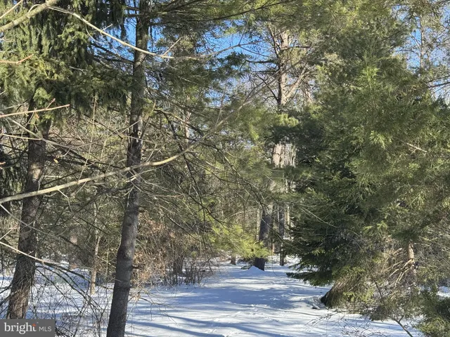 $37,500 | Lot 2 Pine Boulevard, Orwigsburg, PA 17961