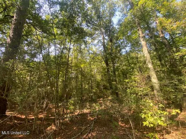 $99,500 | 2073 Taylor Road, Magnolia, MS 39652