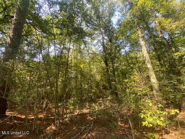 $115,000 | 2073 Taylor Road, Magnolia, MS 39652