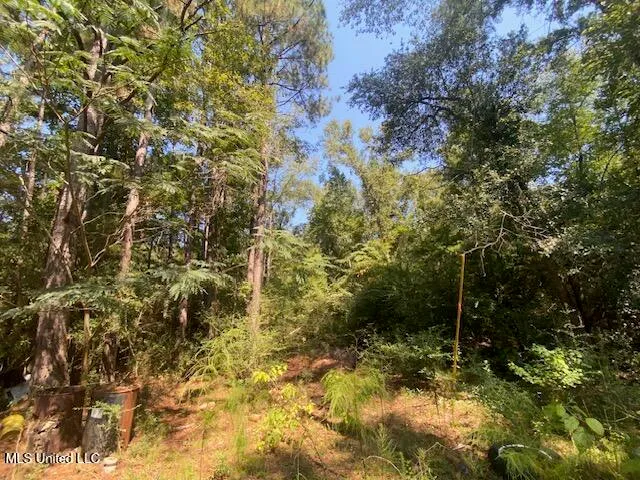 $115,000 | 2073 Taylor Road, Magnolia, MS 39652