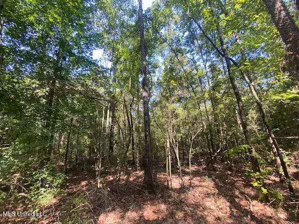 $99,500 | 2073 Taylor Road, Magnolia, MS 39652