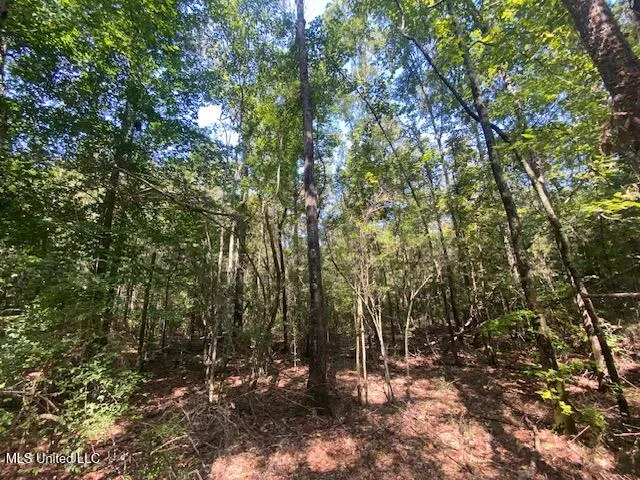 $115,000 | 2073 Taylor Road, Magnolia, MS 39652