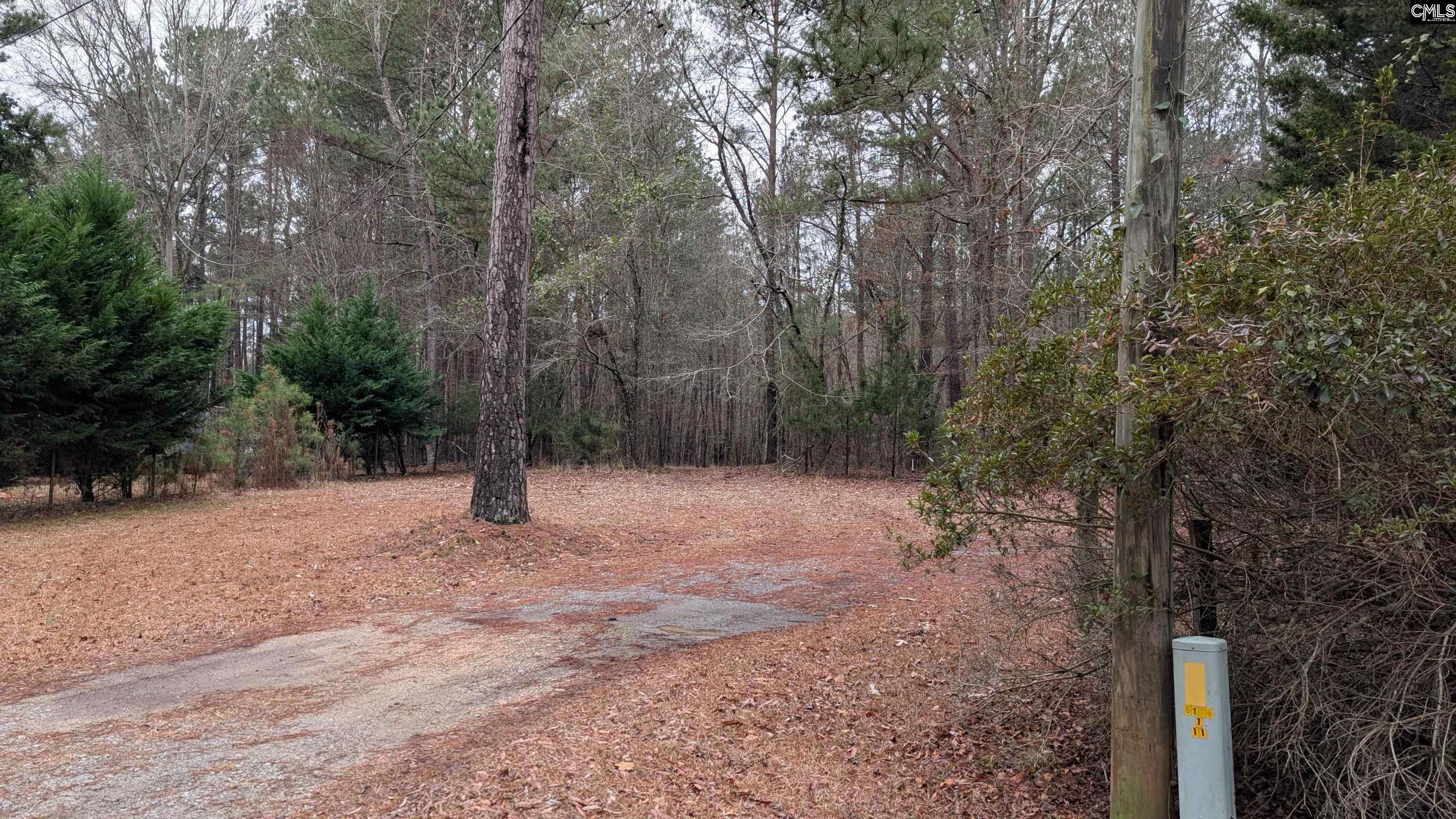 Tbd Colonels Circle Ridgeway, SC 29130 - Photo 2 of 11