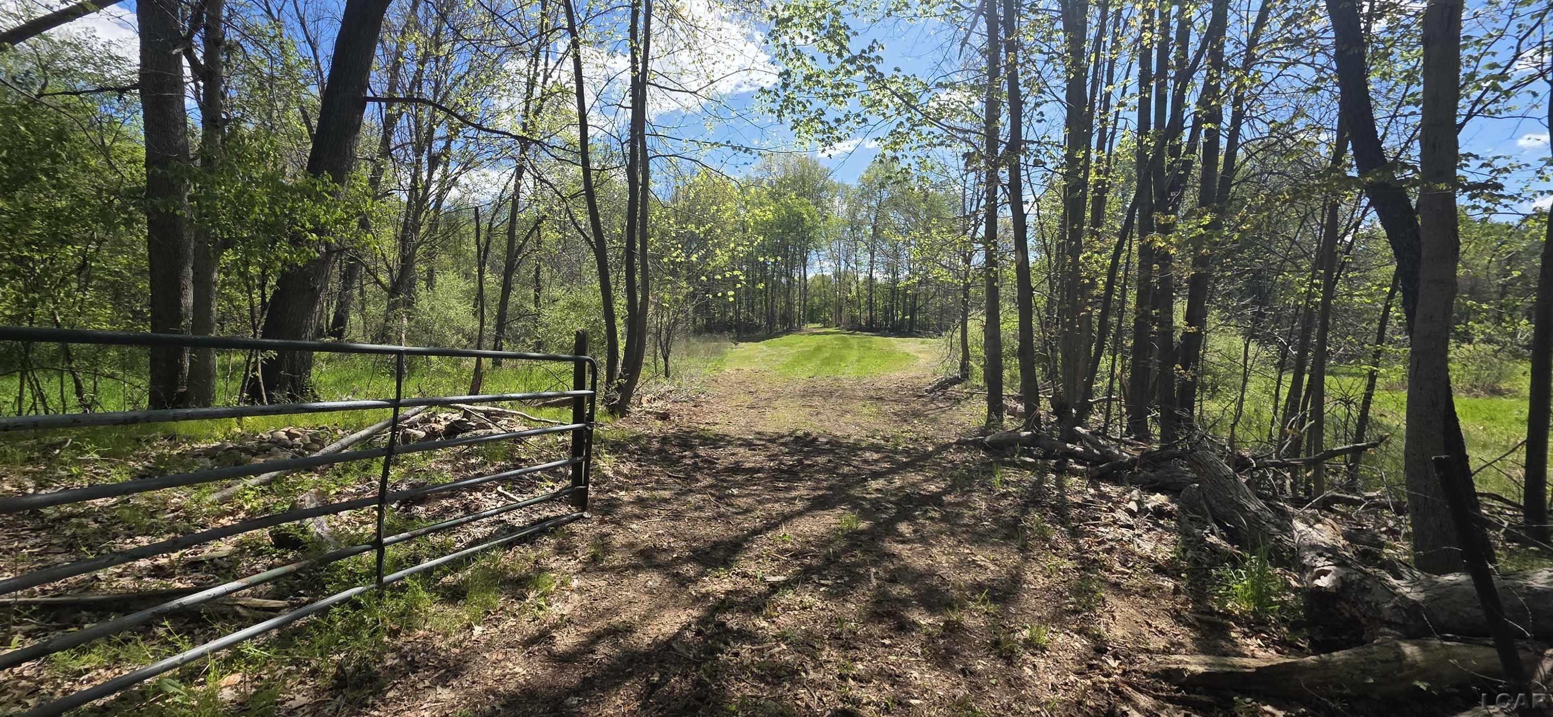 15252 27 Mile Road Albion, MI 49224 - Photo 4 of 57