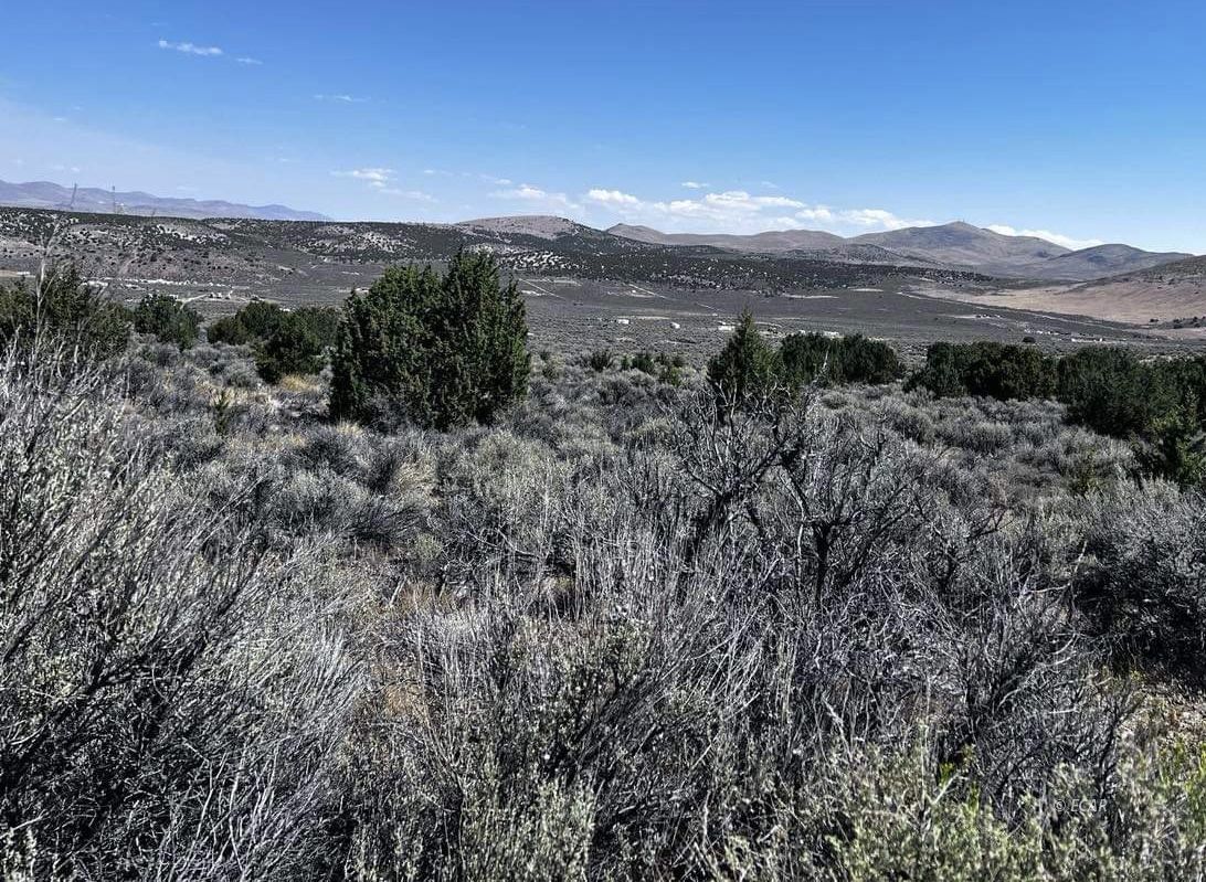 1st Ave Spring Creek Spring Creek, NV 89815 - Photo 1 of 4