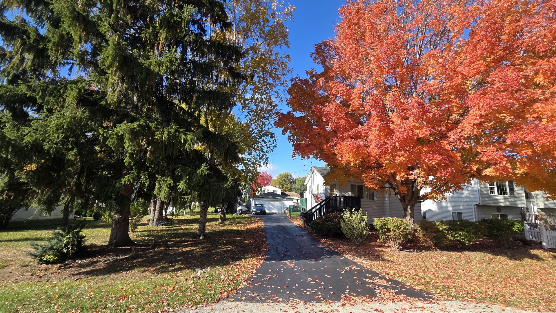 5313 Burwood Road Oakwood Hills, IL 60013 - Photo 11 of 28 a view of road with trees