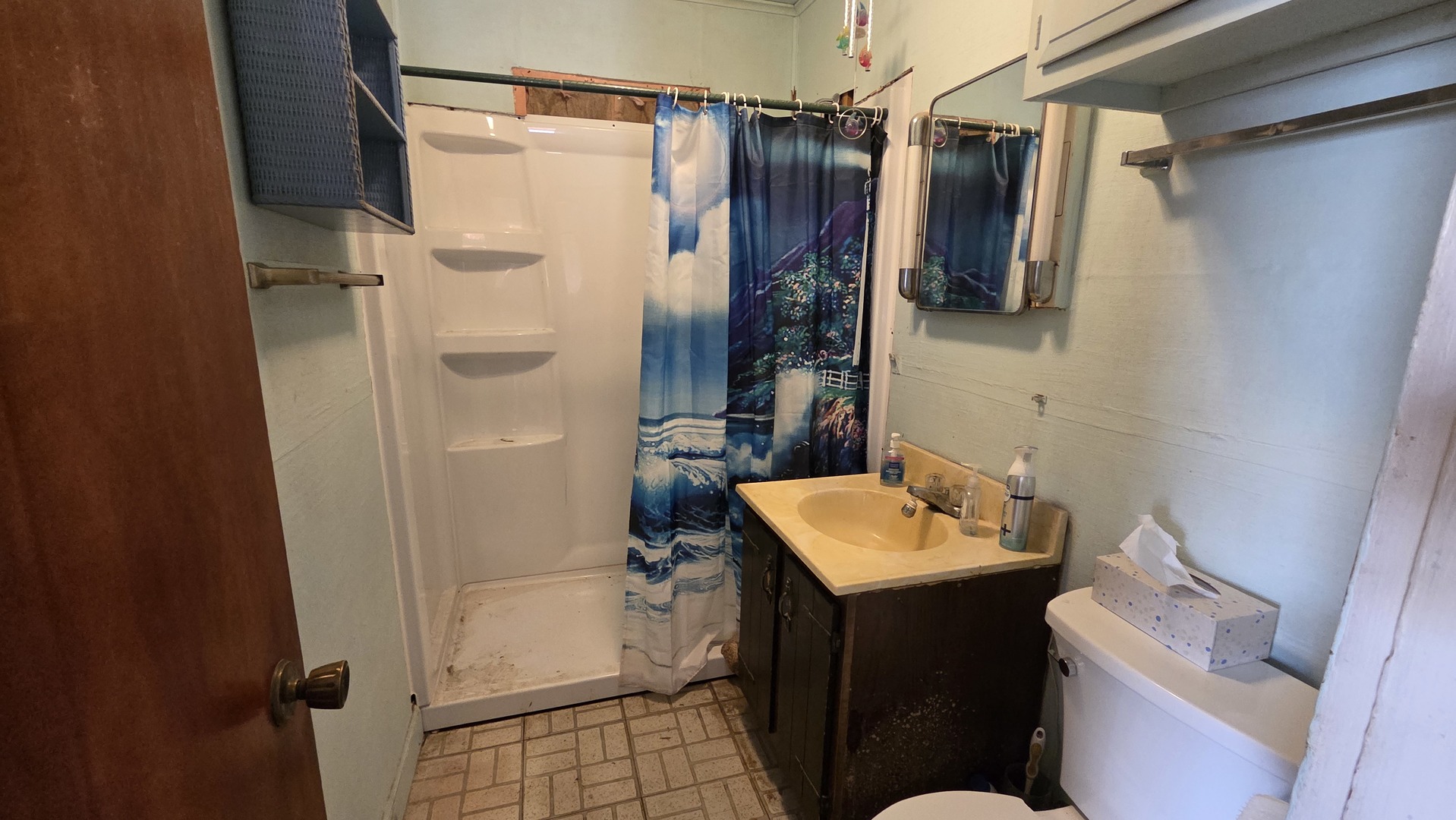 5313 Burwood Road Oakwood Hills, IL 60013 - Photo 19 of 28 a bathroom with a sink and mirror with toilet