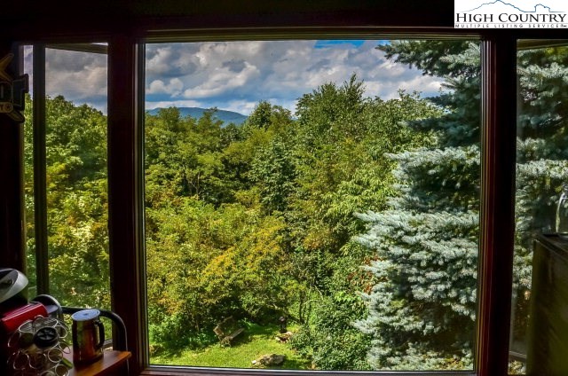 277 Rabbit Run Road, Unit A&B Boone, NC 28607 - Photo 11 of 19 a view of a garden from a window