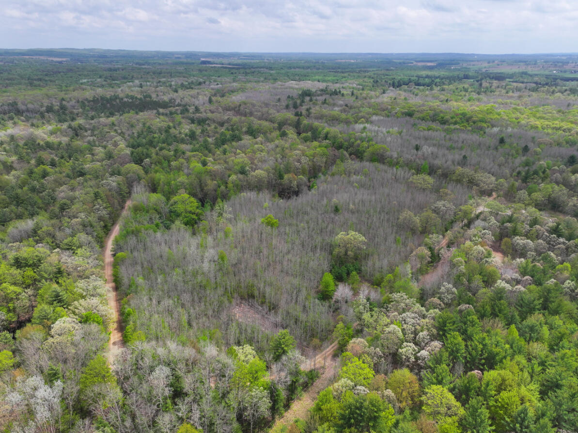 6.62 West Jefferson Road Pentwater, MI 49449 - Photo 5 of 21 DJI_20260512151501_0558_D