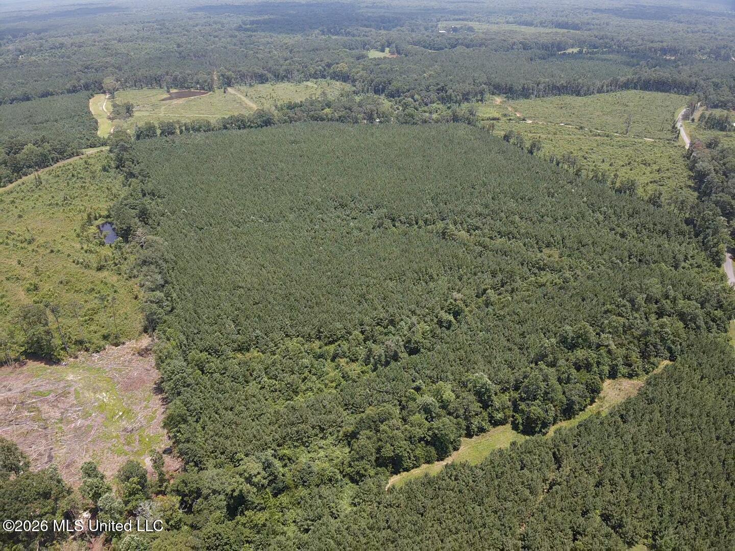 131 B County Road Morton, MS 39117 - Photo 16 of 25 2026-07-05-13-46-02-469