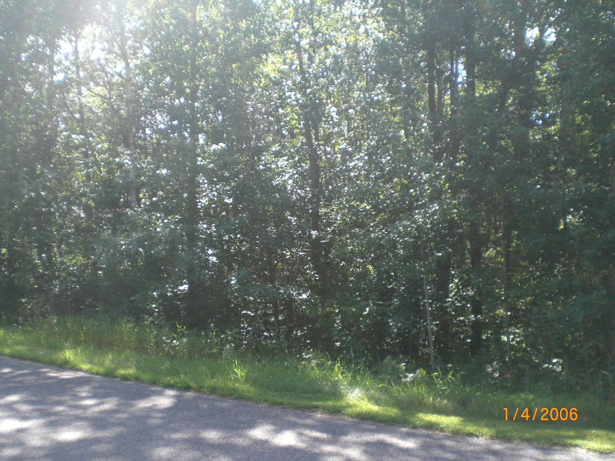 Lot 12 Fallen Leaf Circle Breezy Point, MN 56472 - Photo 3 of 4