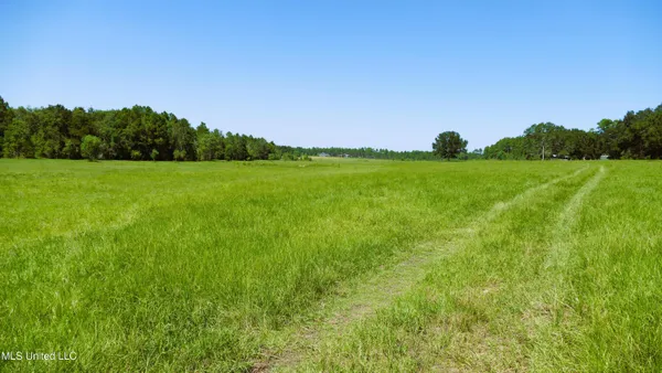 $1,495,000 | 1 Humphrey Road, Vancleave, MS 39565