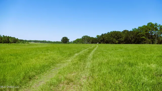 $1,495,000 | 1 Humphrey Road, Vancleave, MS 39565