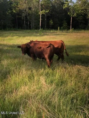 $1,495,000 | 1 Humphrey Road, Vancleave, MS 39565