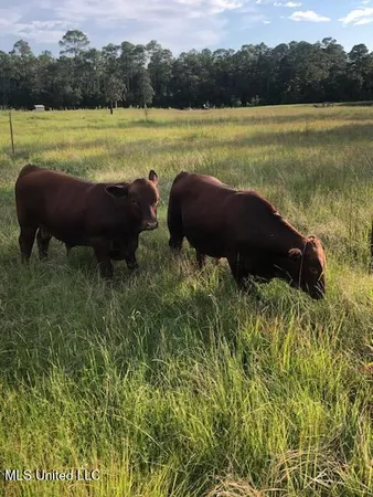 $1,495,000 | 1 Humphrey Road, Vancleave, MS 39565