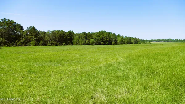 $1,495,000 | 1 Humphrey Road, Vancleave, MS 39565