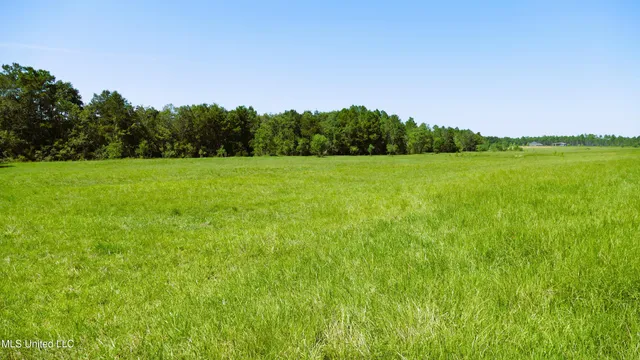 $1,495,000 | 1 Humphrey Road, Vancleave, MS 39565