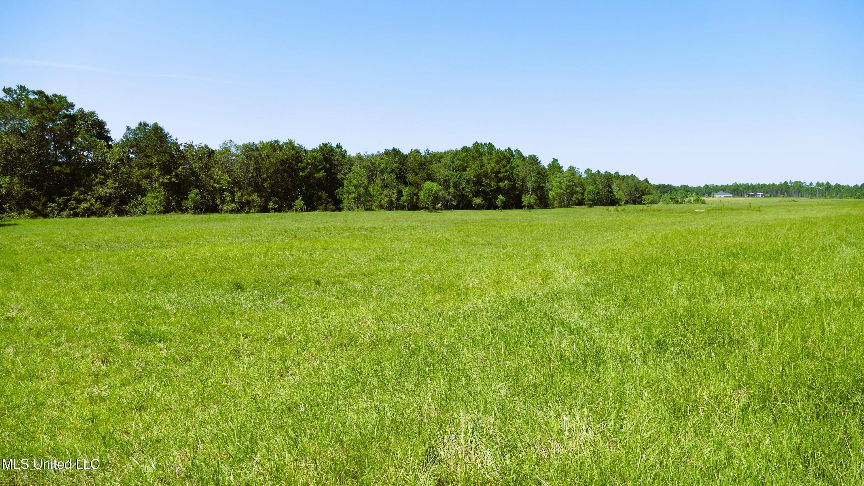 1 Humphrey Road Vancleave, MS 39565 - Photo 3 of 27 HUMPHREY_PICS__3
