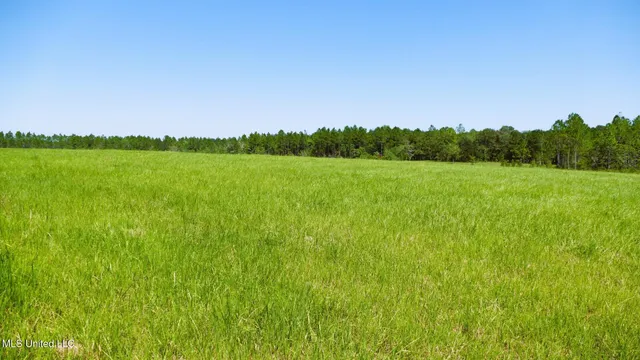 $1,495,000 | 1 Humphrey Road, Vancleave, MS 39565