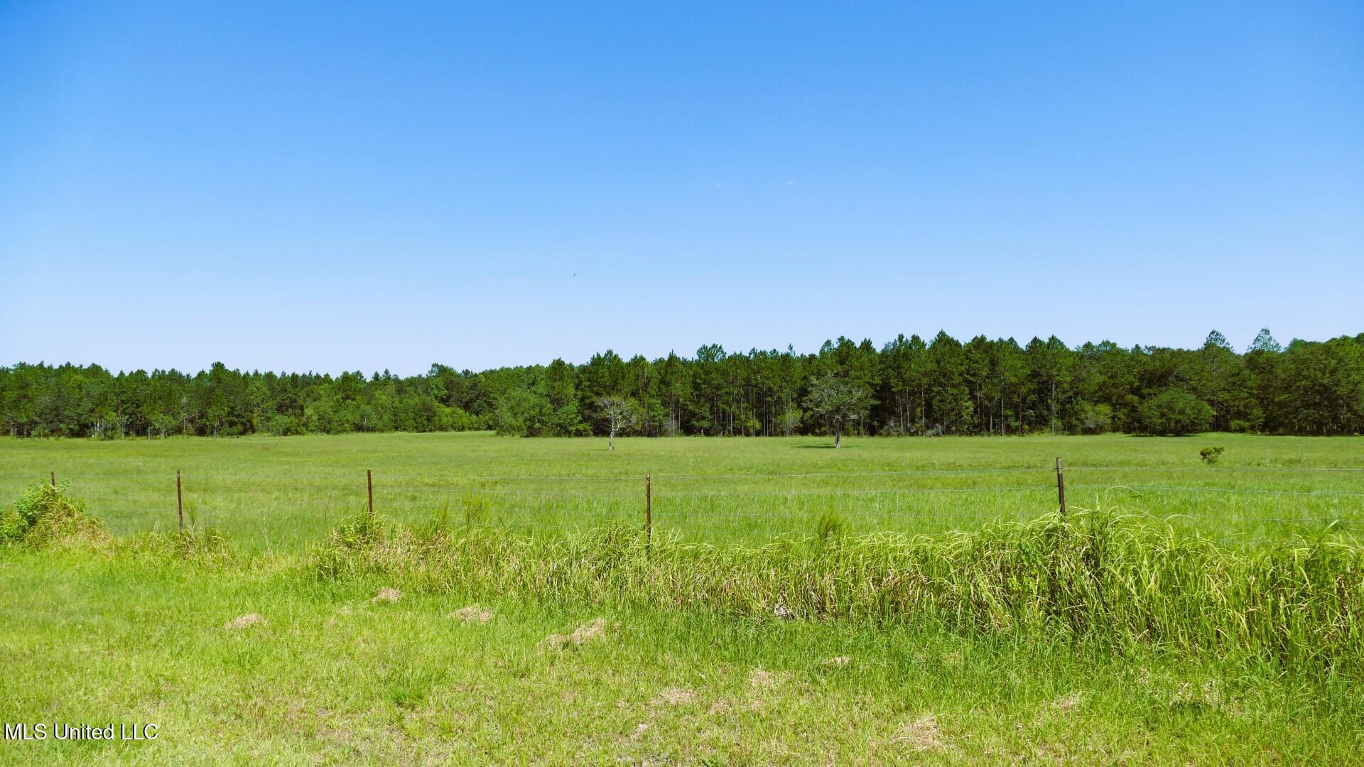 1 Humphrey Road Vancleave, MS 39565 - Photo 5 of 27 HUMPHREY_PICS__5