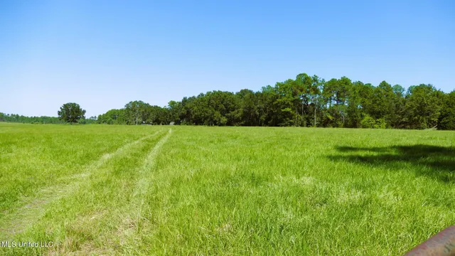 $1,495,000 | 1 Humphrey Road, Vancleave, MS 39565