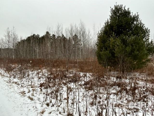 Tbd4 Larson Road Atlantic Mine, MI 49905 - Photo 6 of 41 Gallery Image 6