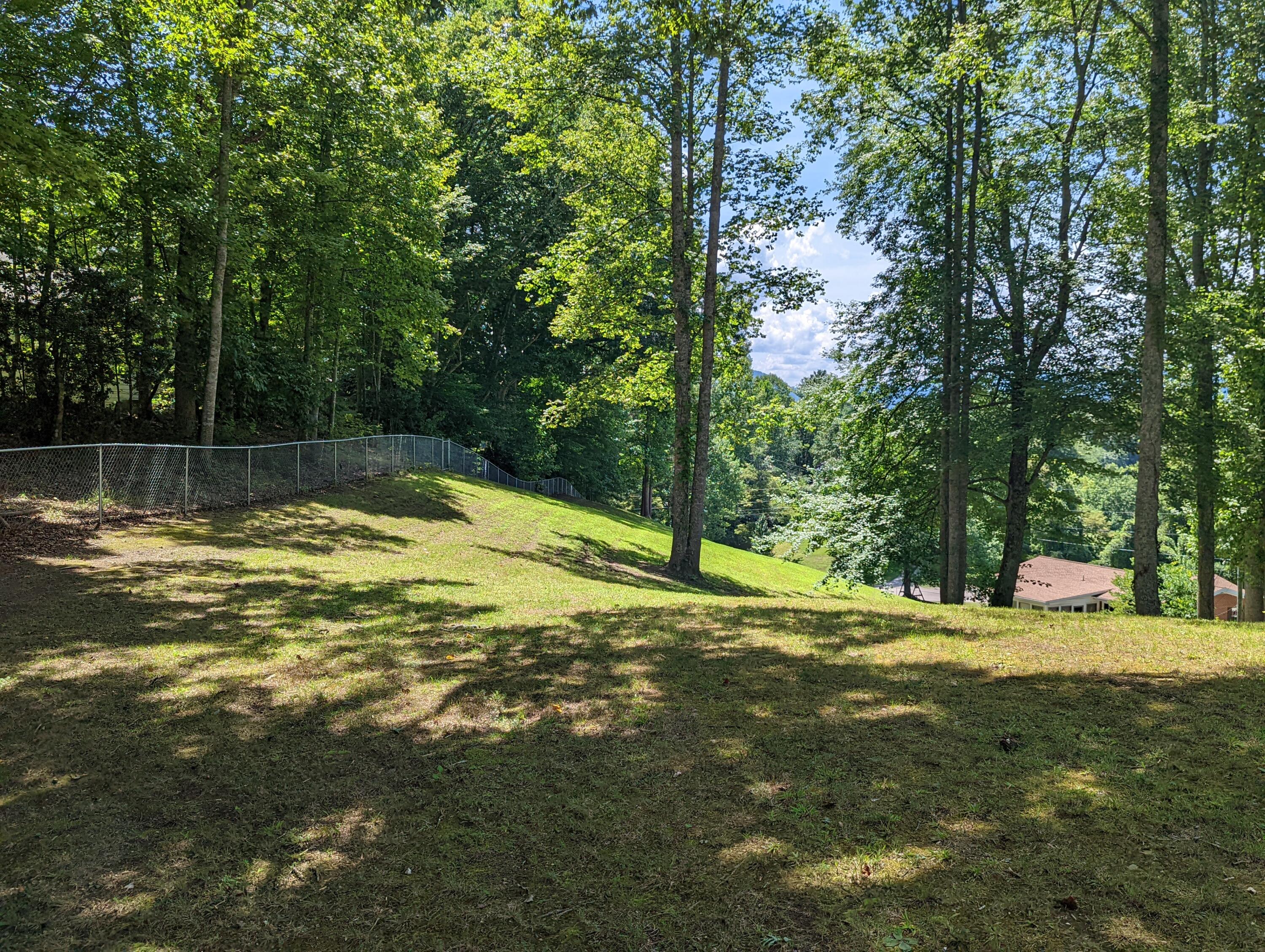 5128 Skeens Ridge Road Big Stone Gap, VA 24219 - Photo 19 of 53 PXL_20220804_183932051