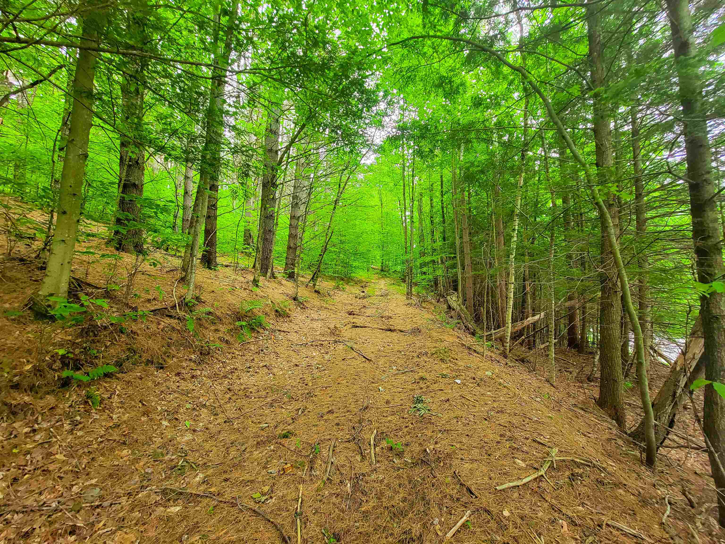 3745 Vt-100 Warren, VT 05674 - Photo 11 of 60