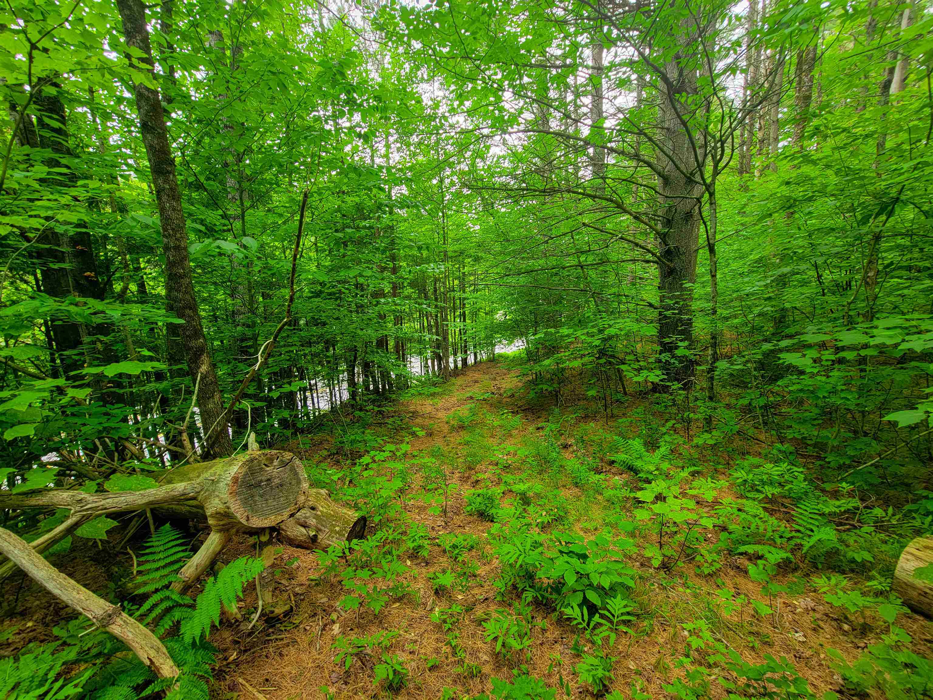 3745 Vt-100 Warren, VT 05674 - Photo 12 of 60