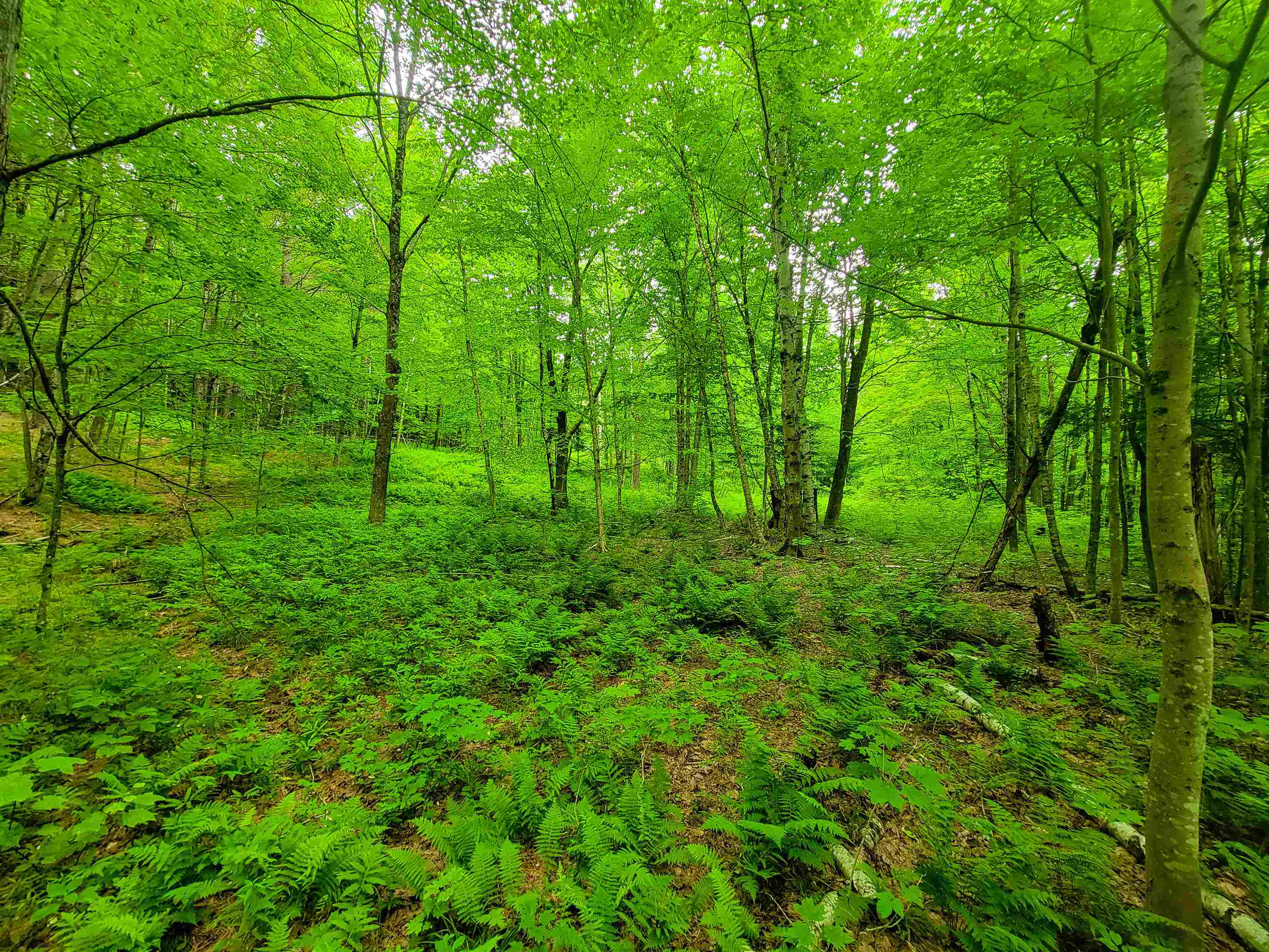 3745 Vt-100 Warren, VT 05674 - Photo 13 of 60