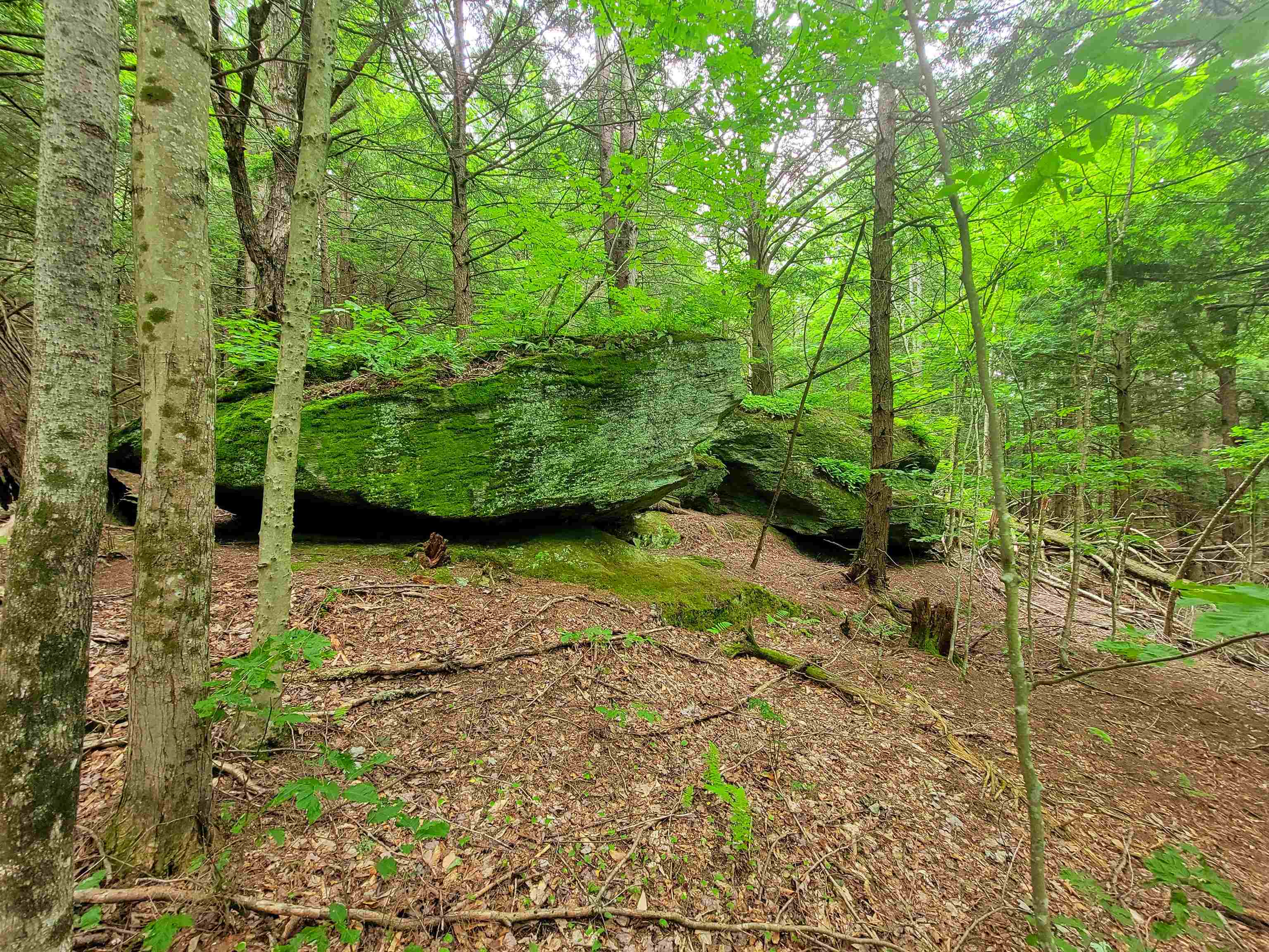 3745 Vt-100 Warren, VT 05674 - Photo 14 of 60