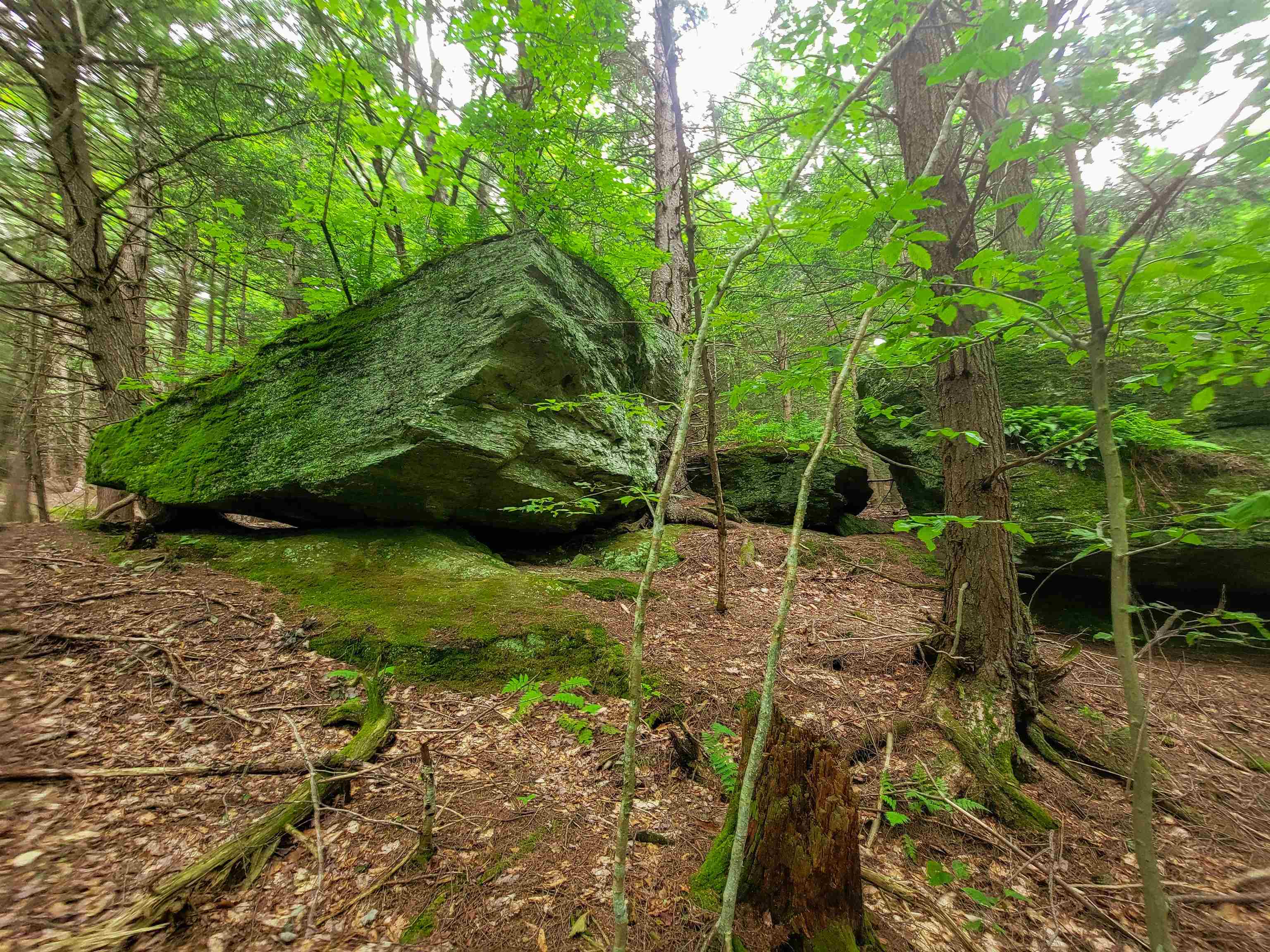 3745 Vt-100 Warren, VT 05674 - Photo 15 of 60