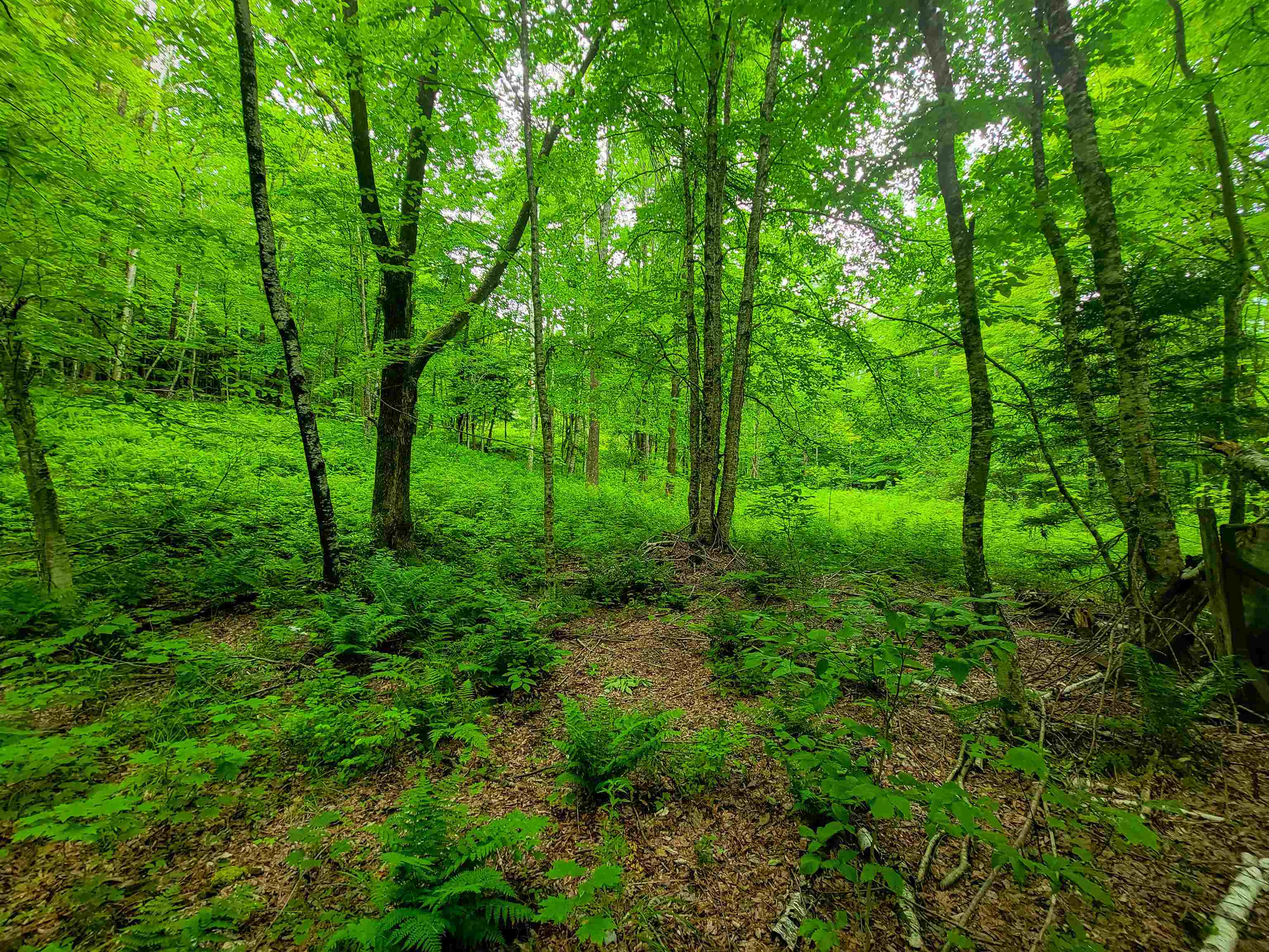 3745 Vt-100 Warren, VT 05674 - Photo 16 of 60