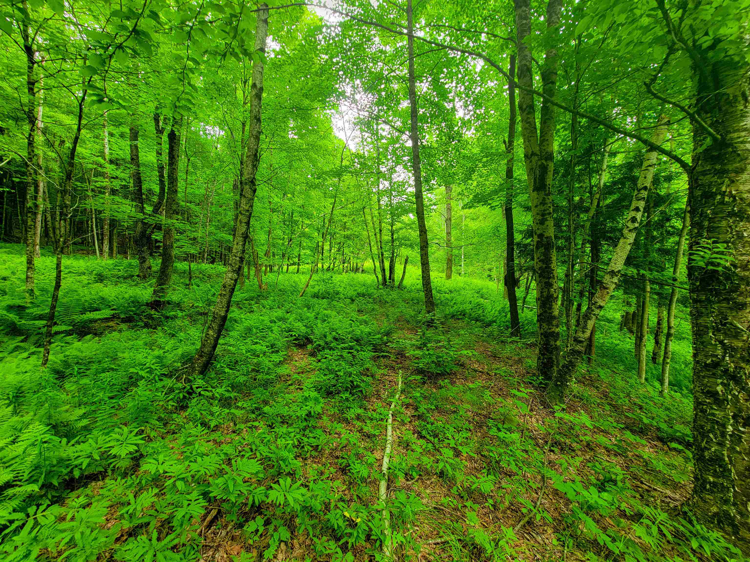 3745 Vt-100 Warren, VT 05674 - Photo 18 of 60