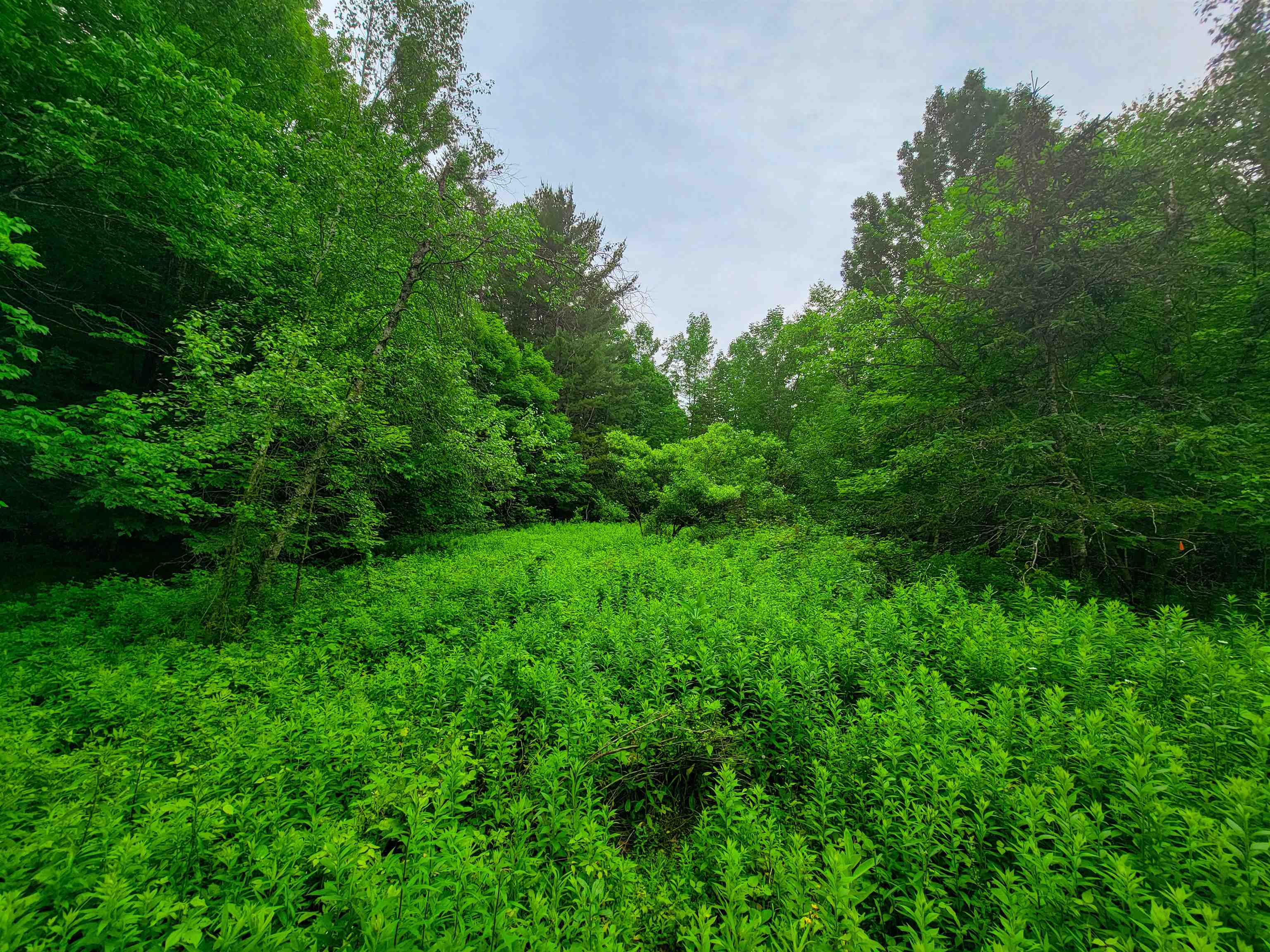 3745 Vt-100 Warren, VT 05674 - Photo 19 of 60