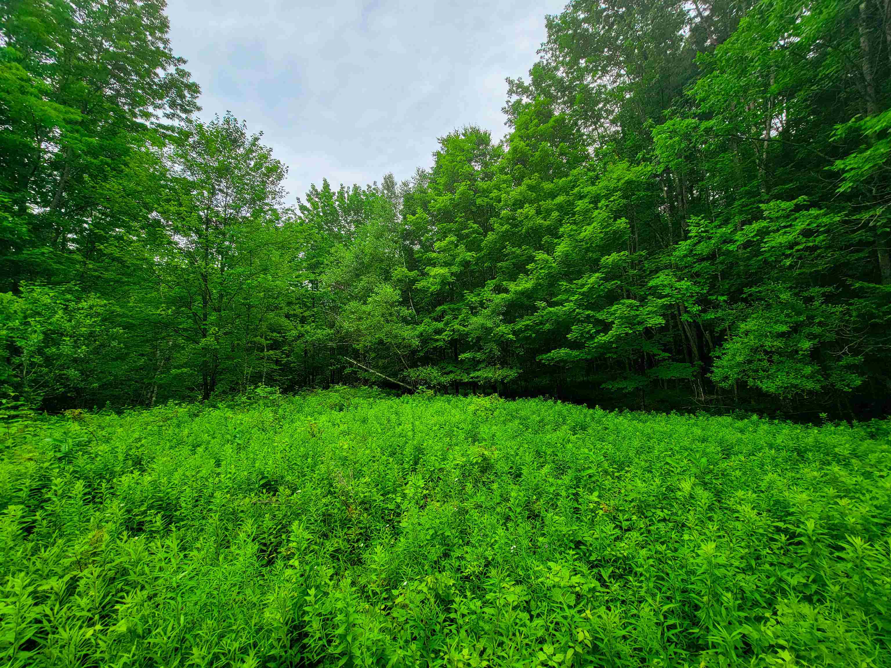 3745 Vt-100 Warren, VT 05674 - Photo 20 of 60