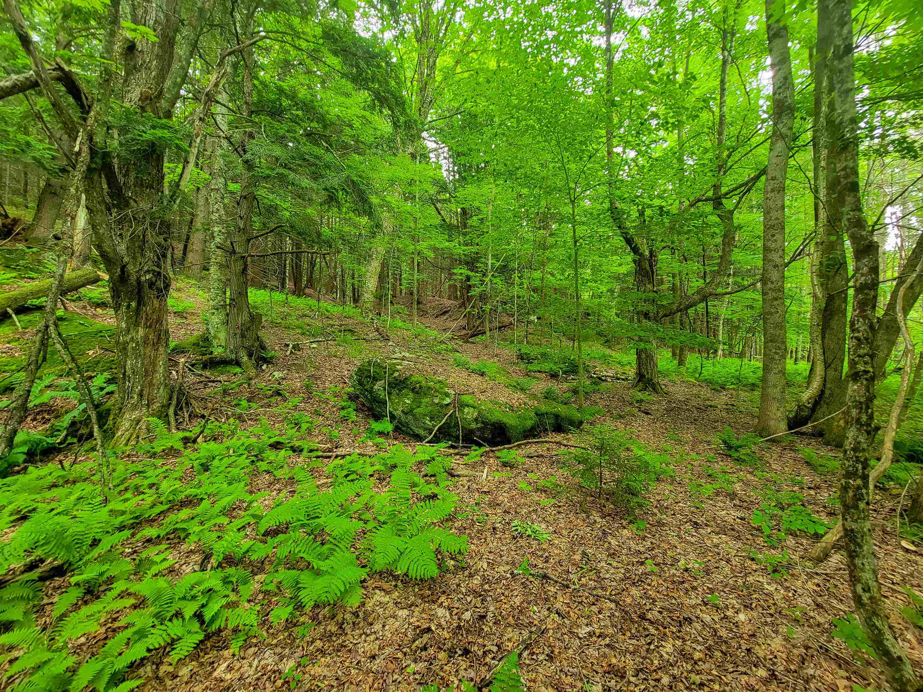 3745 Vt-100 Warren, VT 05674 - Photo 23 of 60