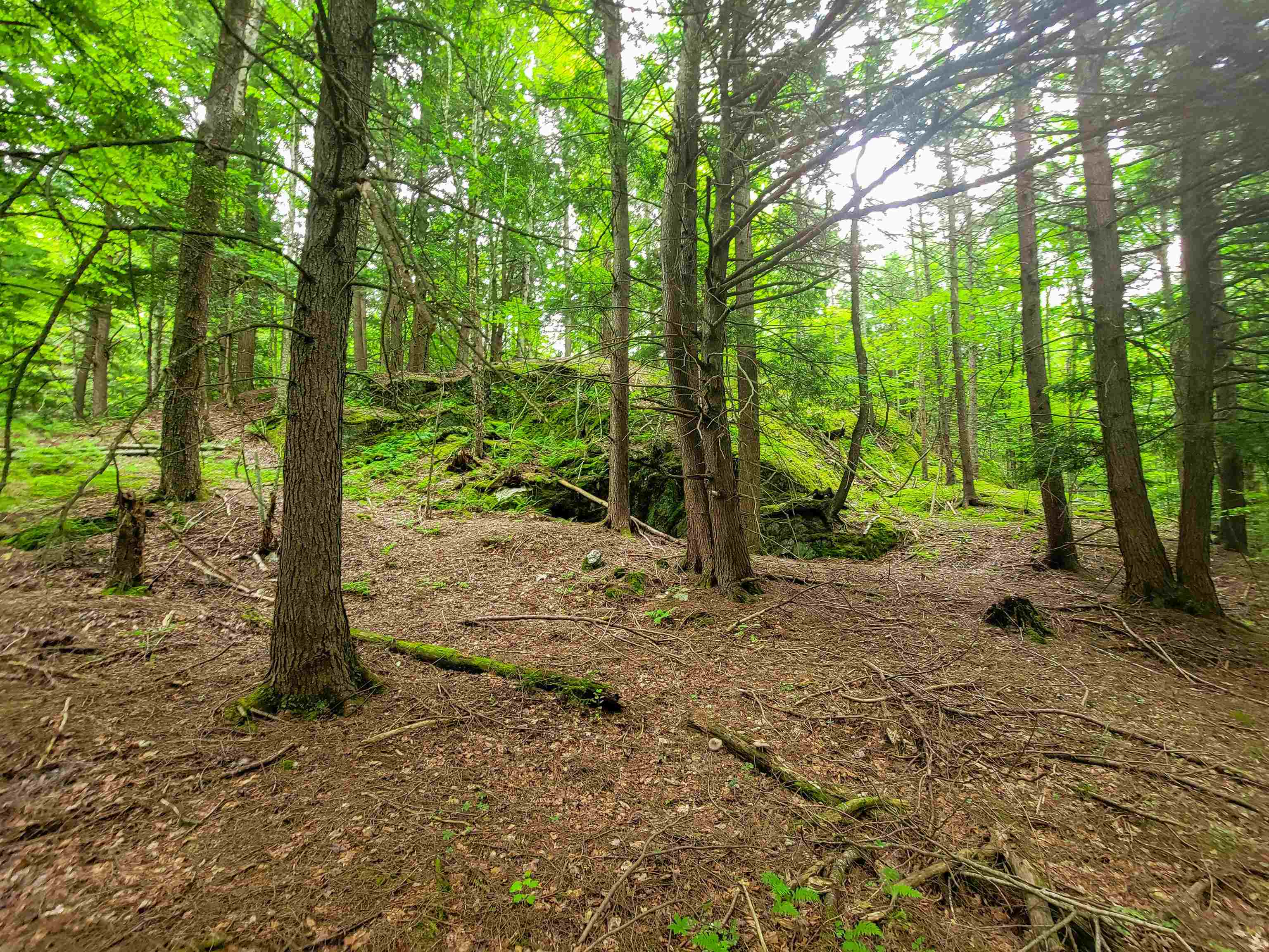 3745 Vt-100 Warren, VT 05674 - Photo 24 of 60