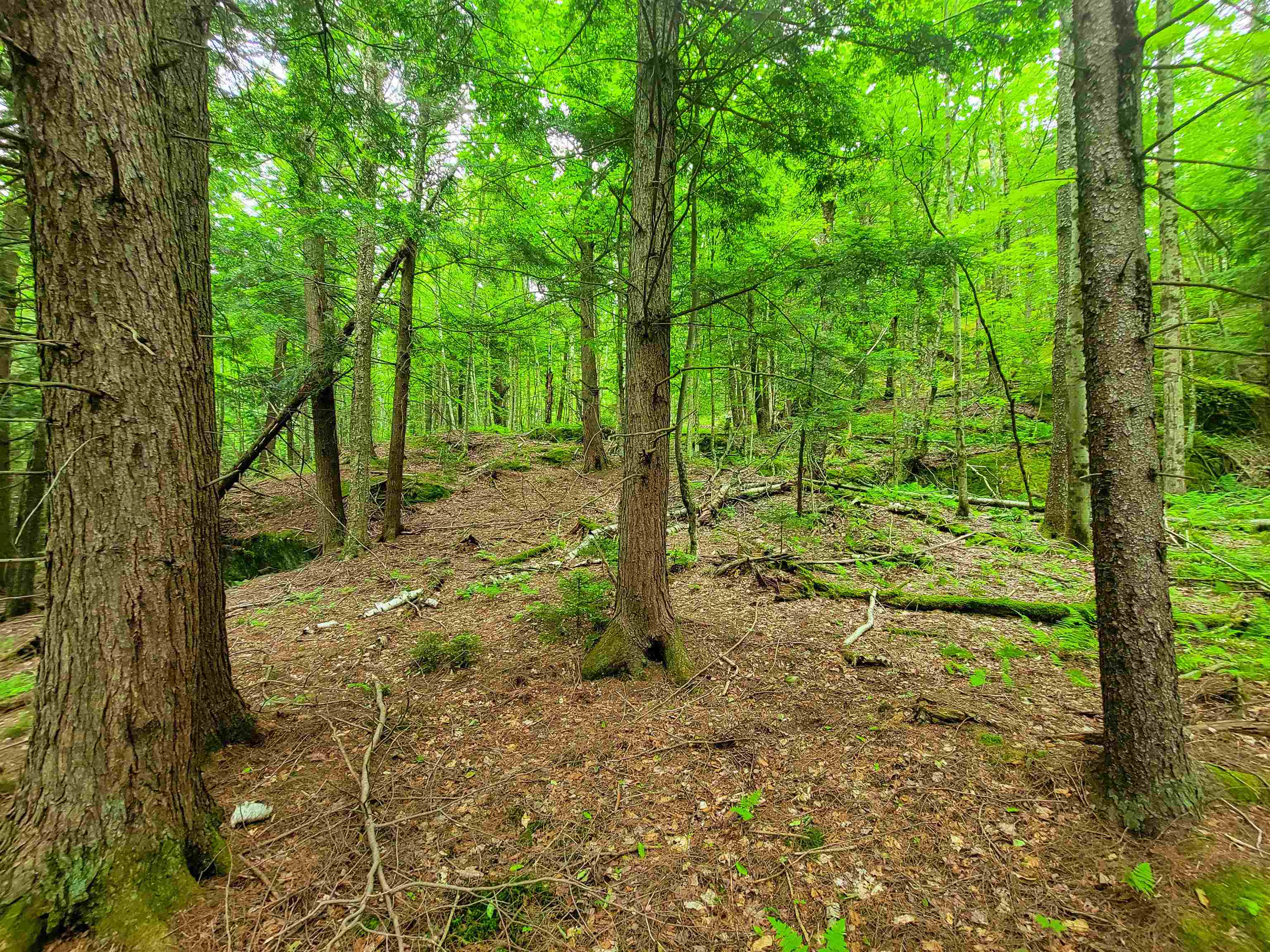 3745 Vt-100 Warren, VT 05674 - Photo 25 of 60