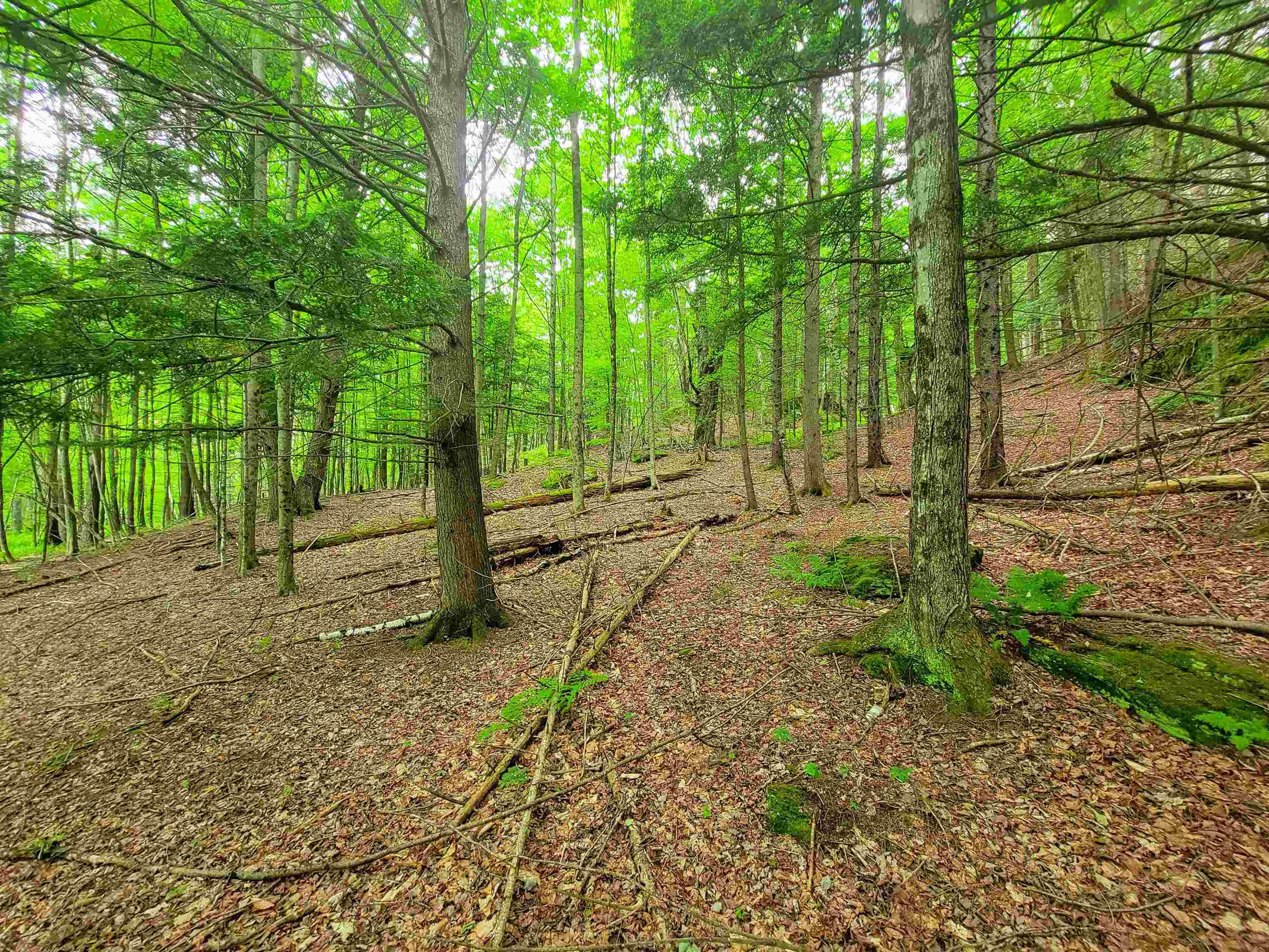 3745 Vt-100 Warren, VT 05674 - Photo 26 of 60