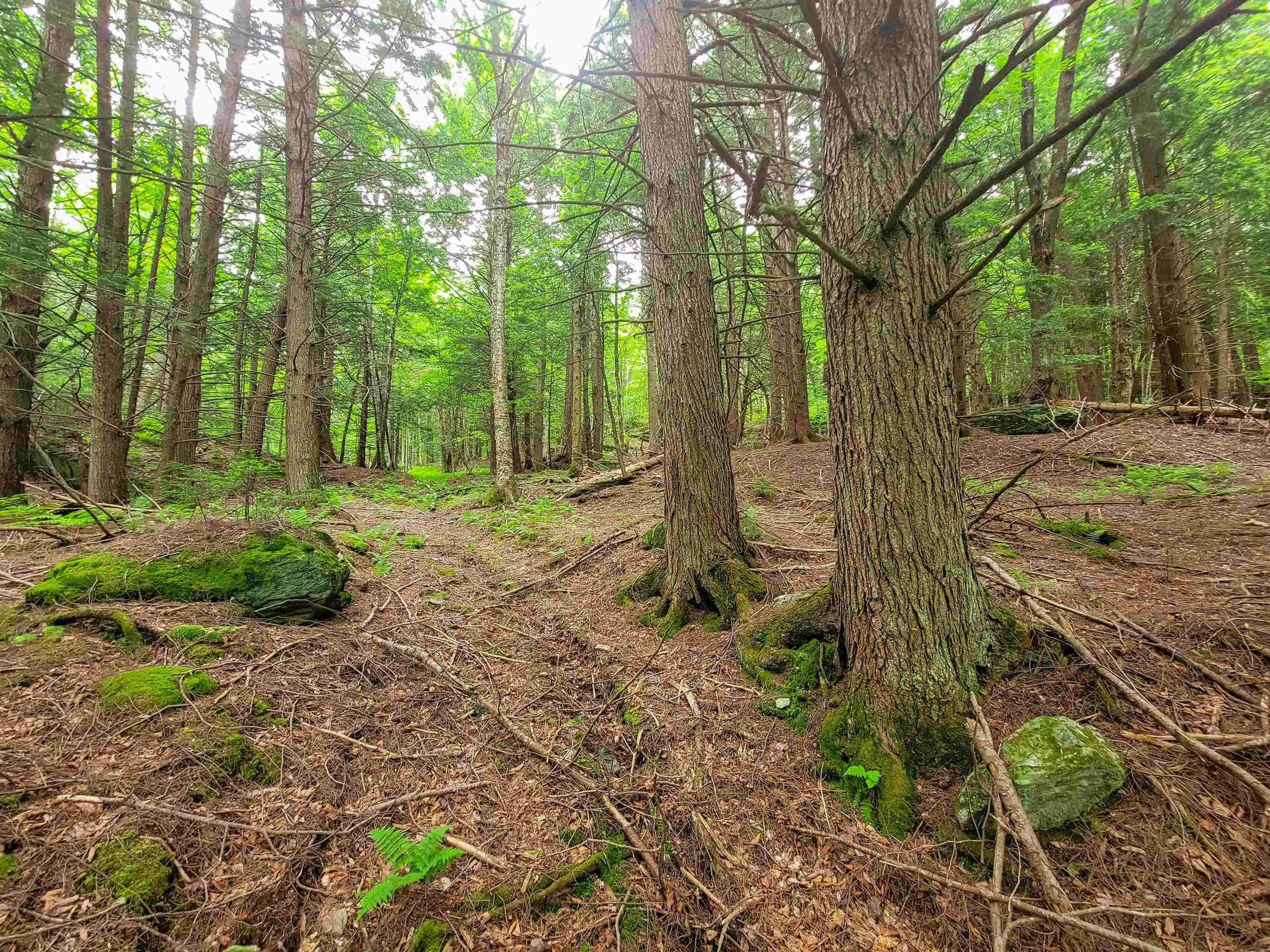 3745 Vt-100 Warren, VT 05674 - Photo 27 of 60