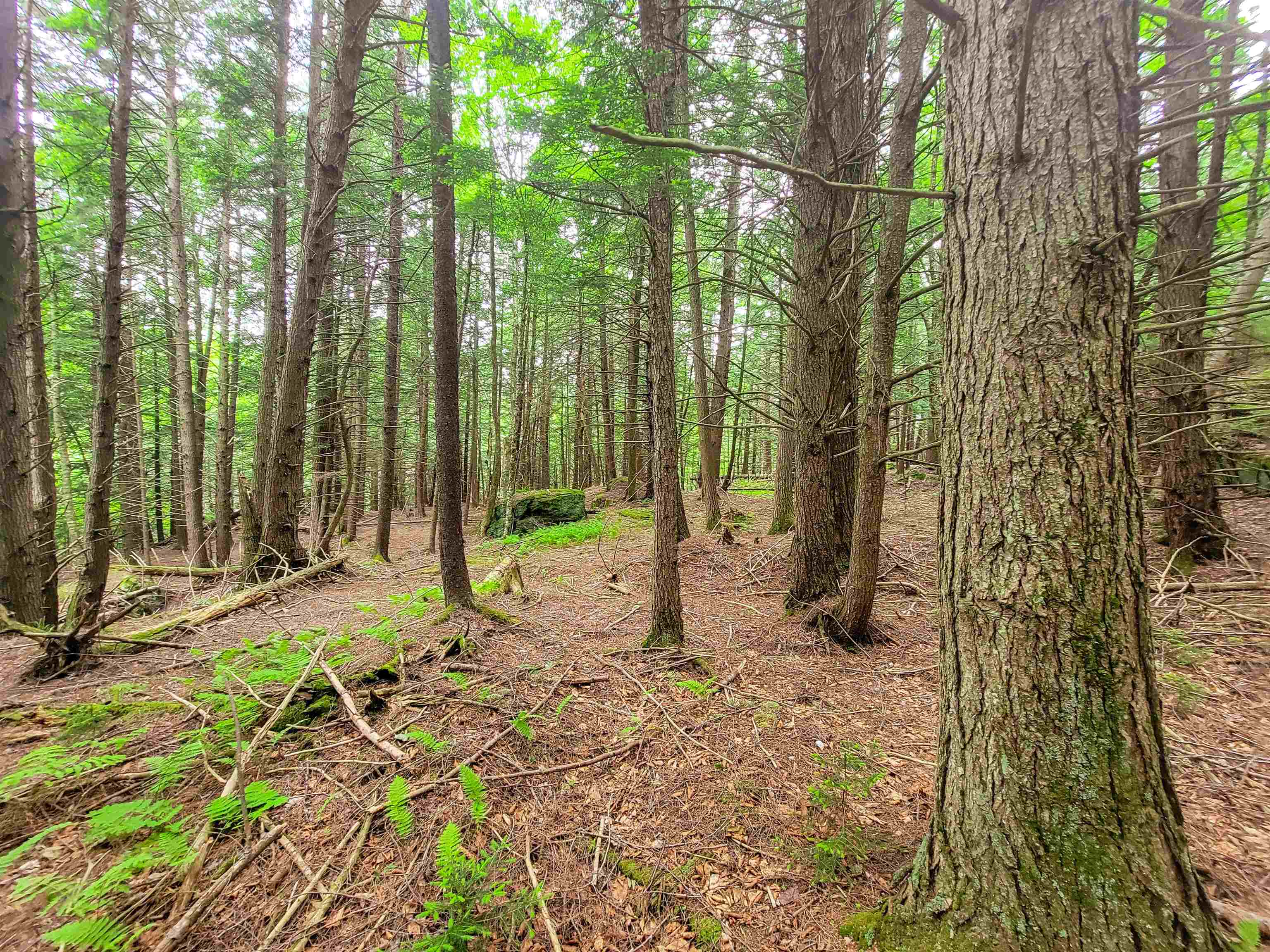 3745 Vt-100 Warren, VT 05674 - Photo 28 of 60