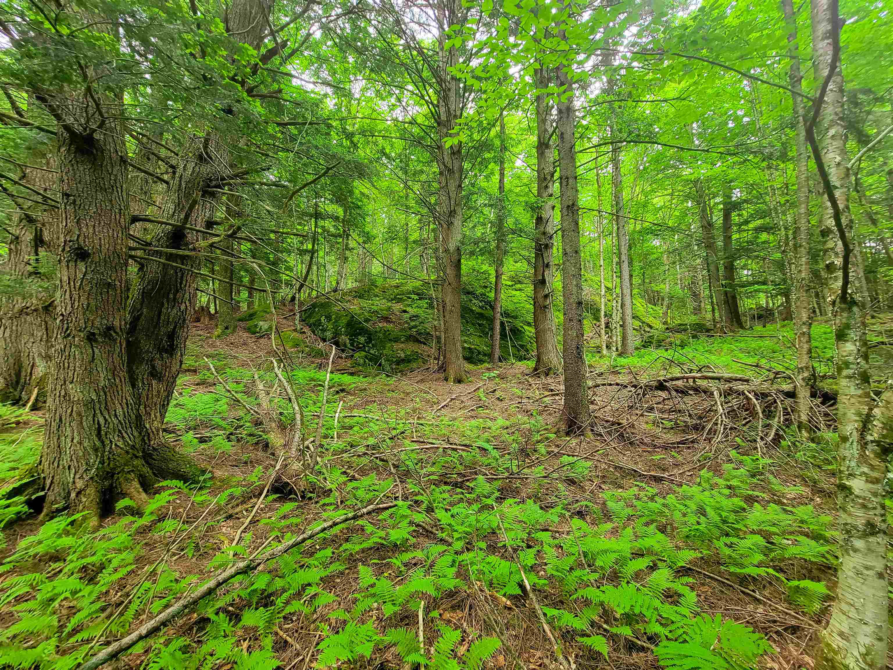 3745 Vt-100 Warren, VT 05674 - Photo 29 of 60