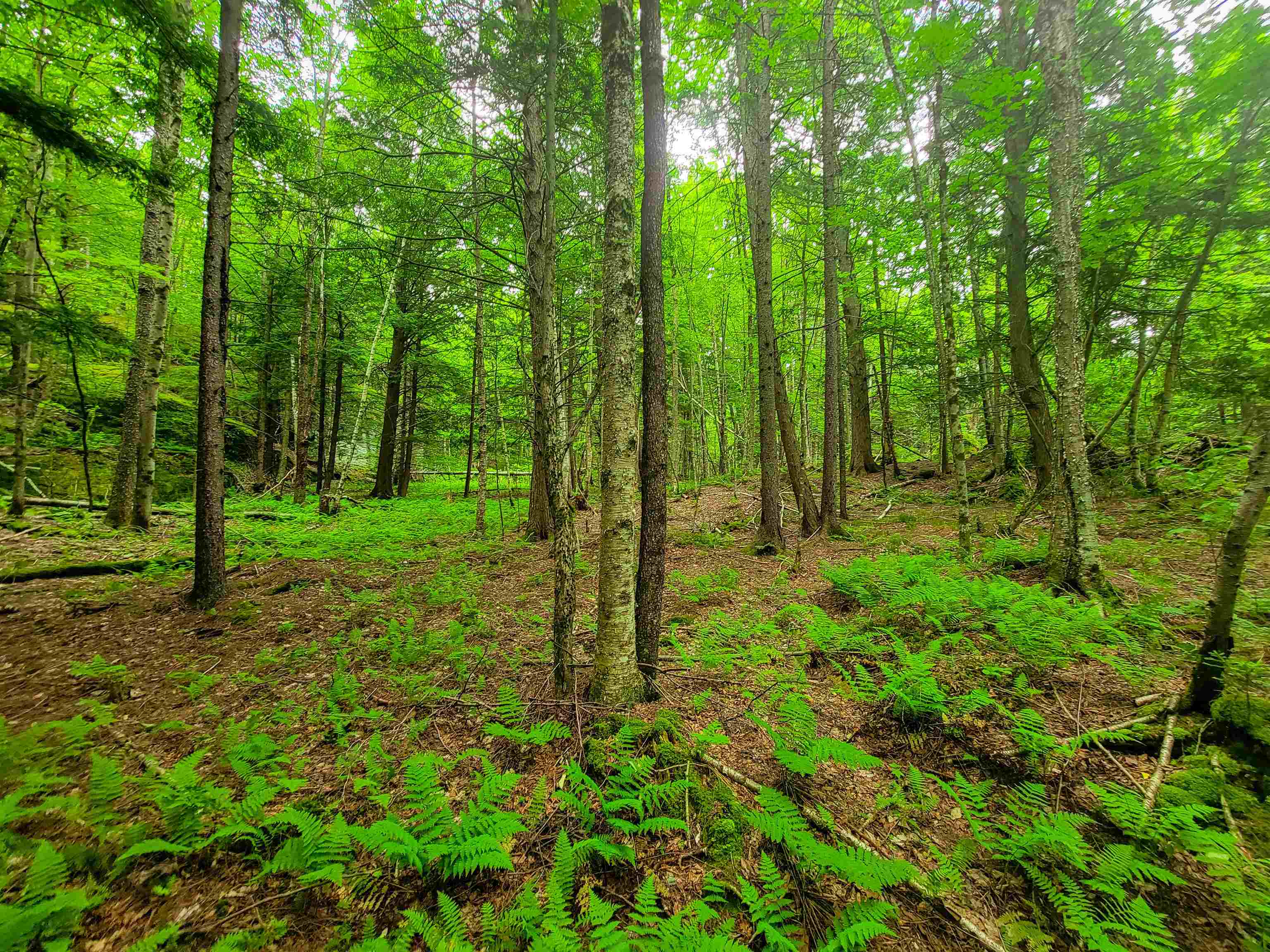 3745 Vt-100 Warren, VT 05674 - Photo 30 of 60