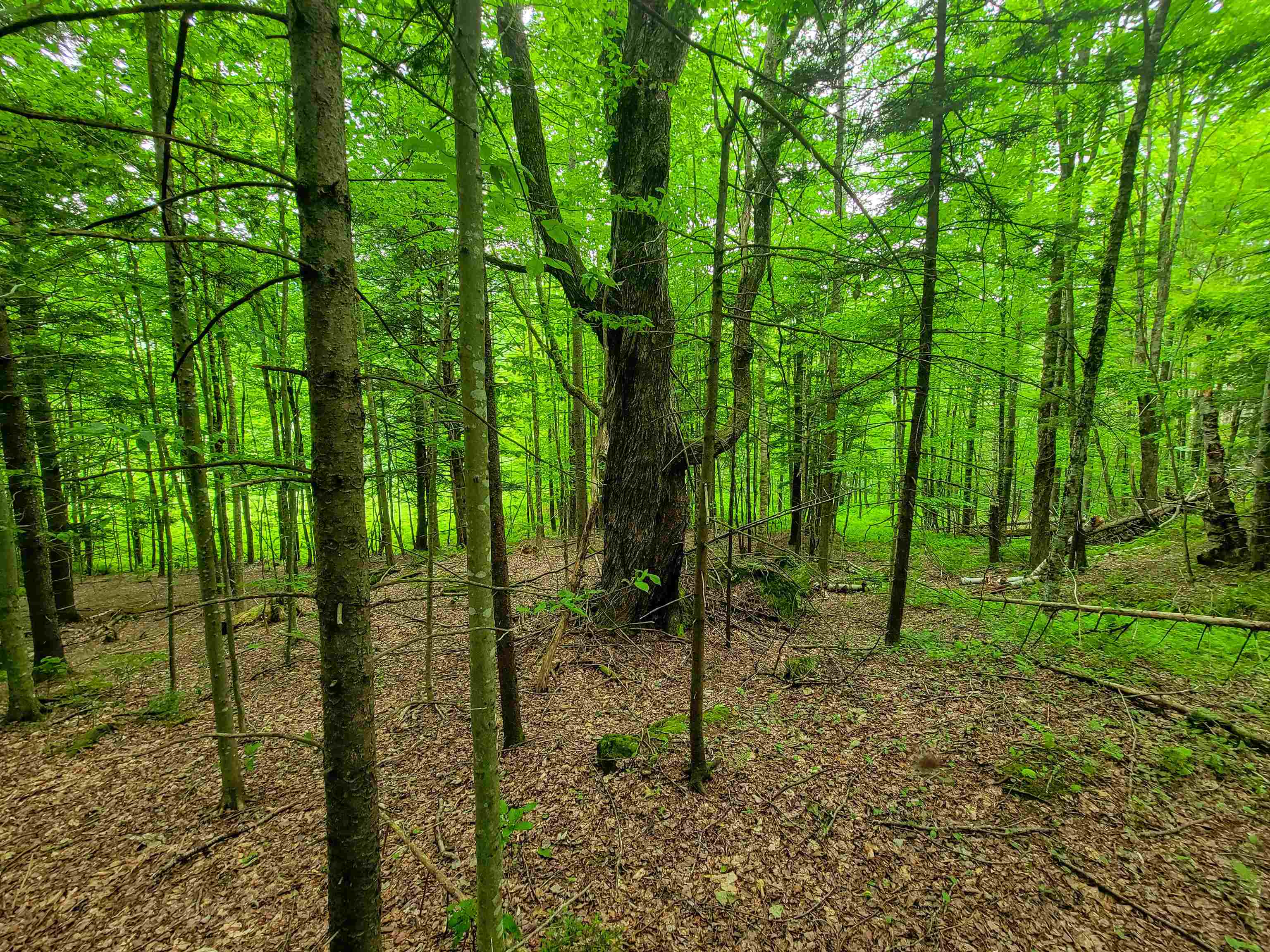 3745 Vt-100 Warren, VT 05674 - Photo 37 of 60