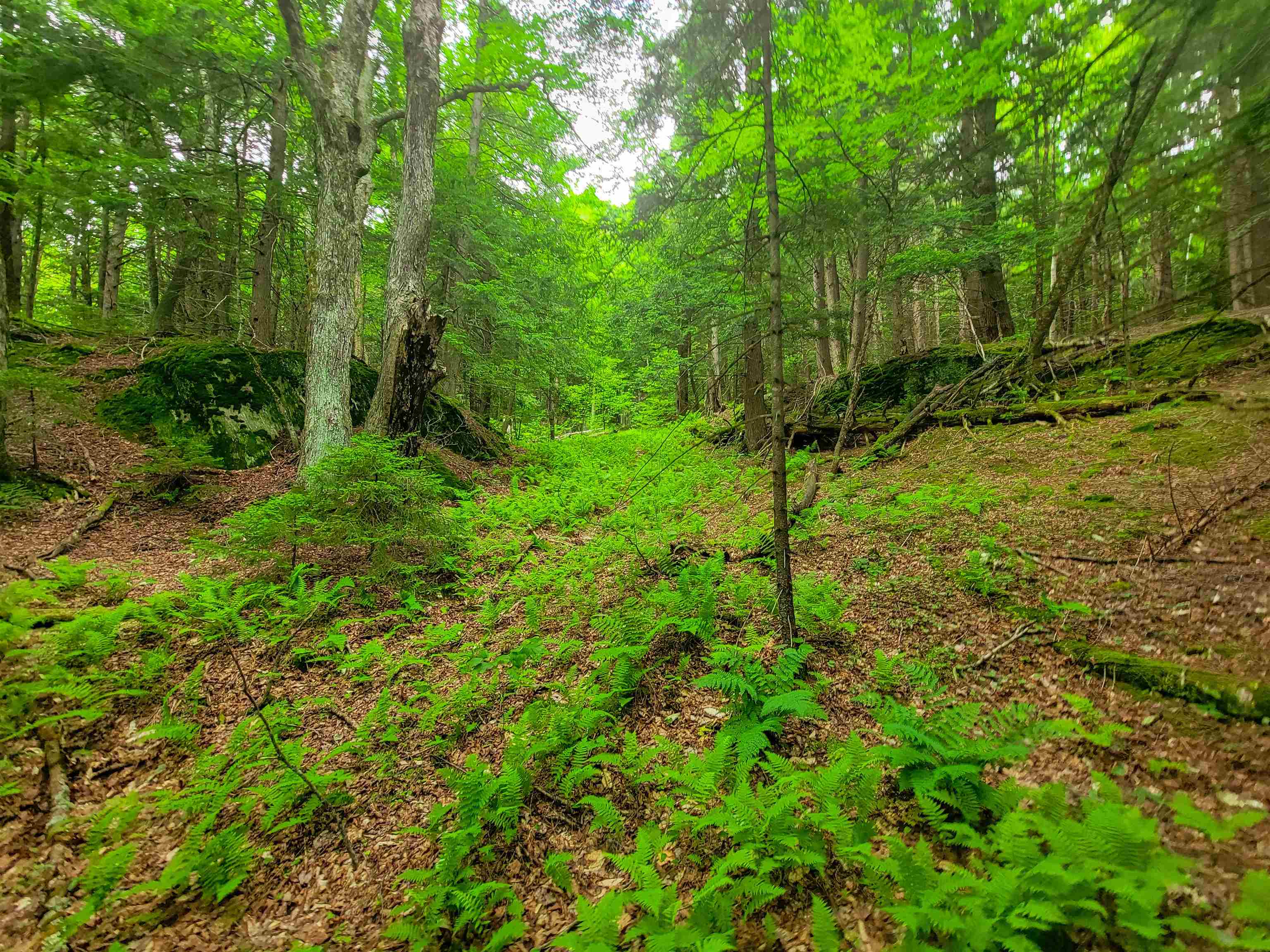 3745 Vt-100 Warren, VT 05674 - Photo 38 of 60